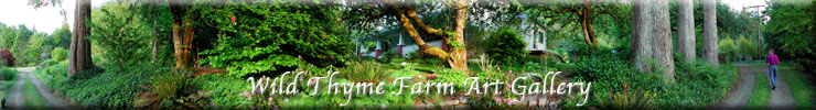 Wild Thyme Farm Art Gallery