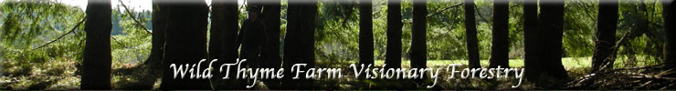 Wild Thyme Farm Visionary Forestry